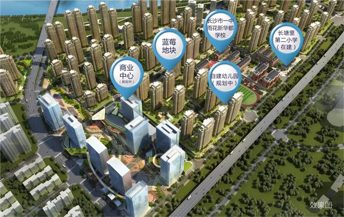 阳光城蓝莓苑10栋01户型装修,阳光城尚东湾蓝莓苑10栋开盘价格