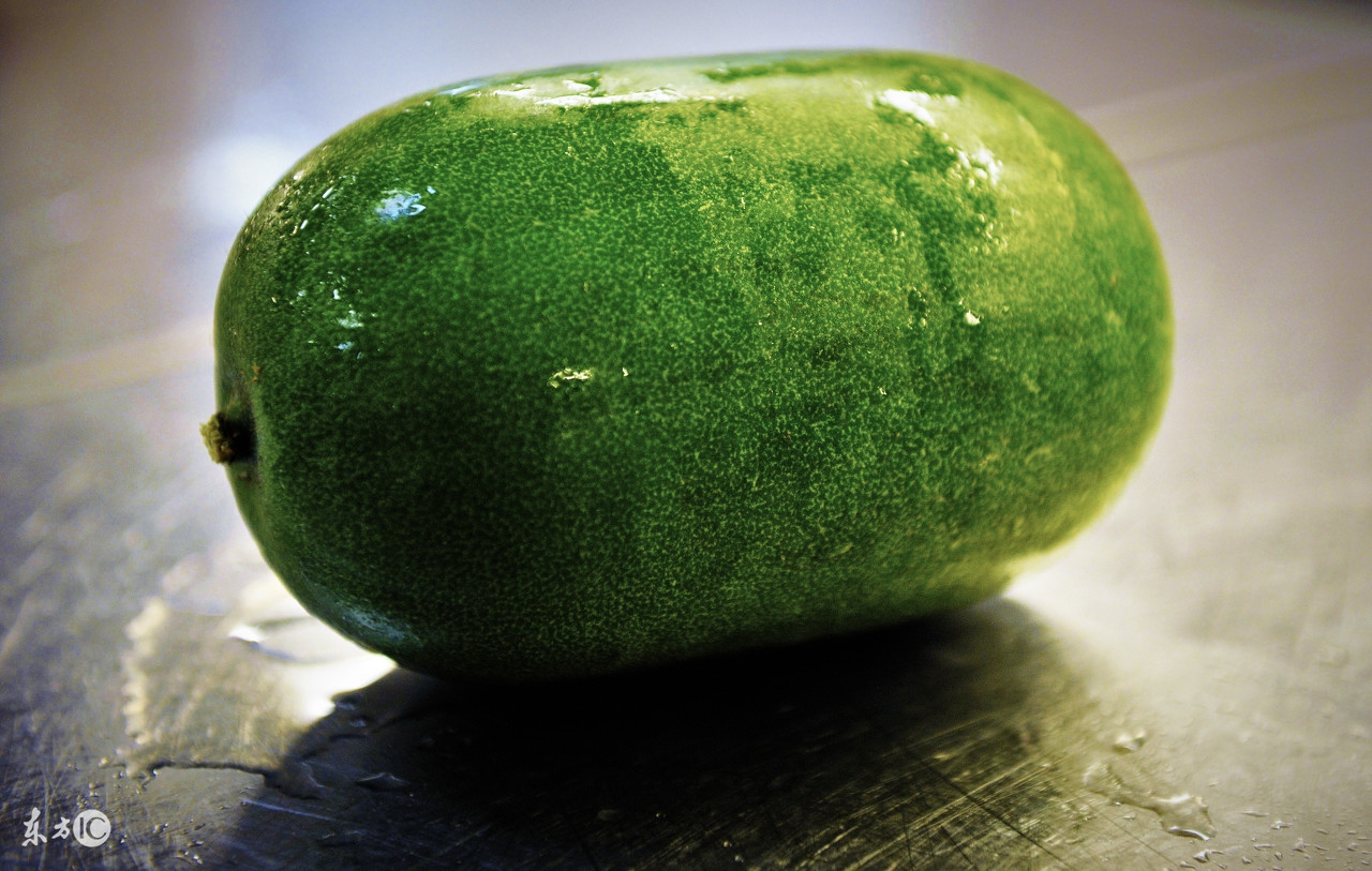 小冬瓜早熟品种什么时候播种最好,冬瓜稳产高产栽培技术计划书