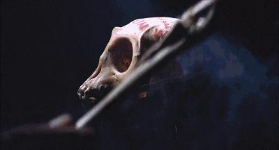 童年阴影80年代恐怖老电影,8090后童年心理阴影恐怖电影