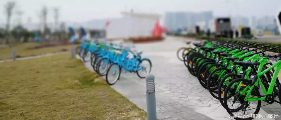 免费试骑！漳州双鱼岛迎来第一批共享山地自行车