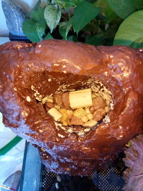 缸小养龟怎么造景,养龟小缸造景图片