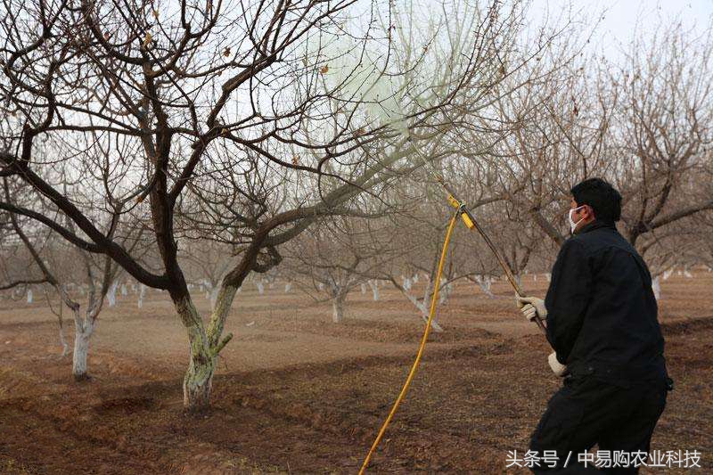 正确的清园手法,清园小妙招大全