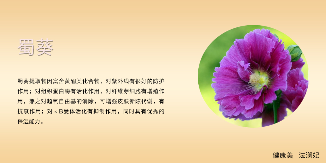 面膜中的劳斯莱斯——法澜妃白藜芦醇黄金面膜重磅上市