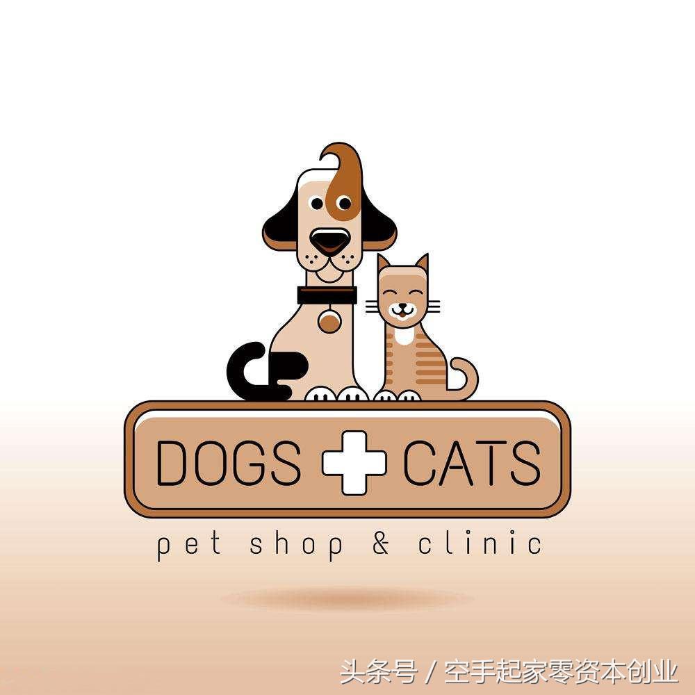 迷茫创业者的零成本创业项目,低创业成本的项目新手入门