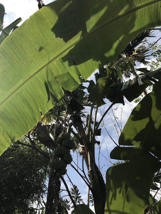 海南·三亚，成全了我的碧海蓝天