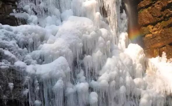 寒气席卷、叶汽成霜……陕西6处大美雾凇奇景上线!