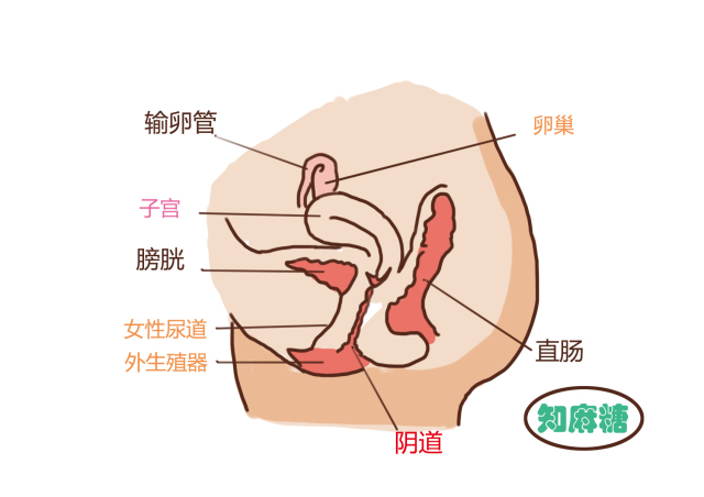 男生勿看女生什么意思,男生不要看女生温馨小贴士