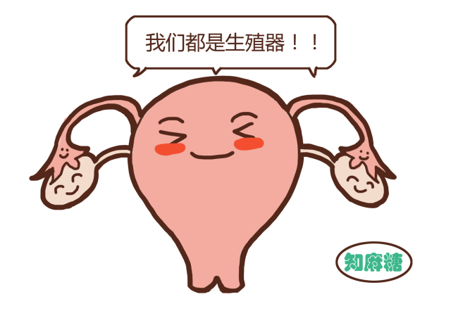 男生勿看女生什么意思,男生不要看女生温馨小贴士