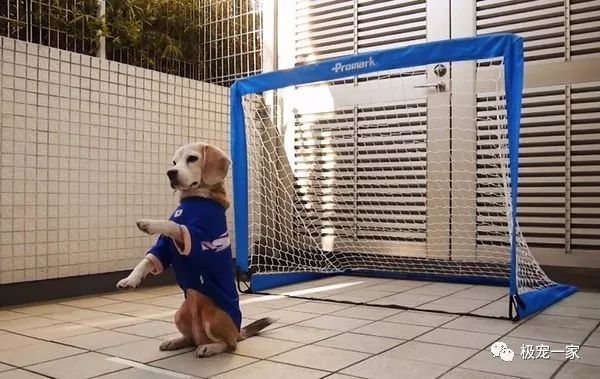 史上第一个用脸挡球的足球守门员,足球守门员不可思议的挡球