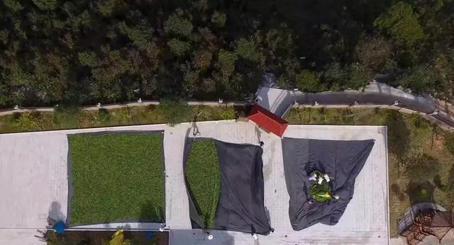 安溪铁观音真的好喝吗,铁观音不好喝为什么那么多人喜欢