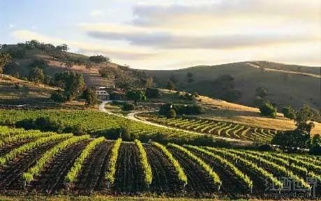 葡萄酒庄园旅游,葡萄酒之乡旅游攻略