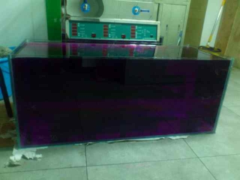 巨头蛋龟饲养环境造景,养龟养鱼生态缸