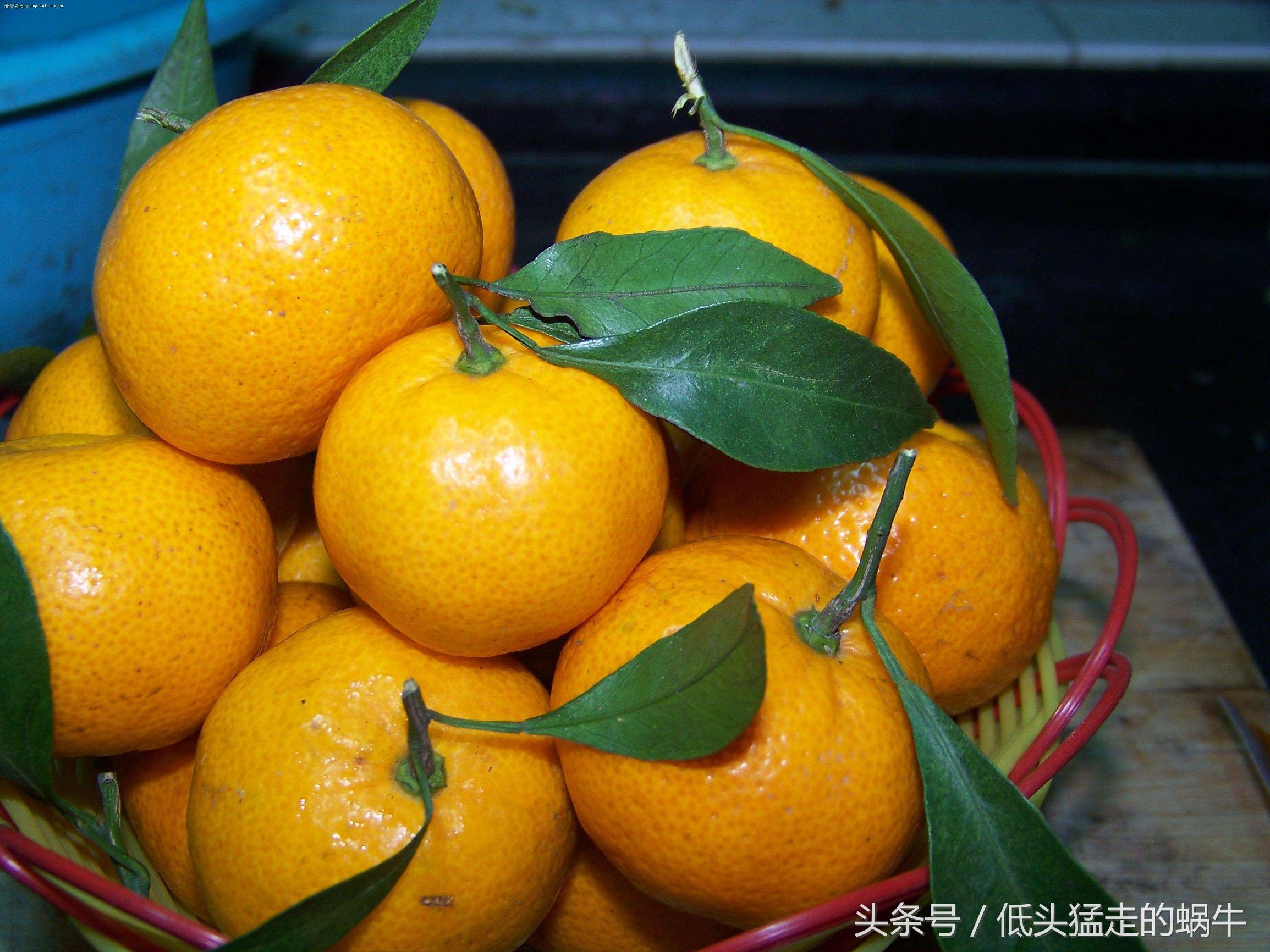 准妈妈孕吐不适怎么办,孕妈妈恶心怎么办