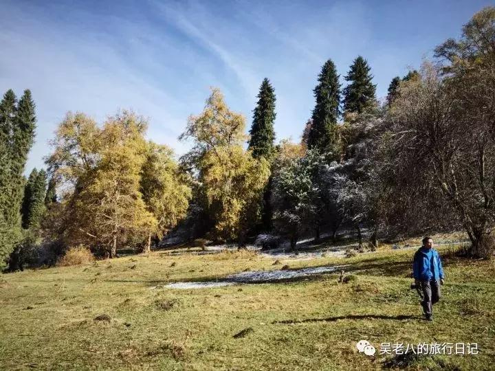 去大西北旅行的感悟,去西北旅行的感悟