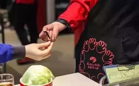 海底捞老板张勇成功的品质,海底捞老板张勇名声好不好