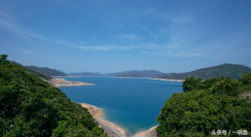 香港尖沙咀有什么地方可以逛,香港不只有繁华更有市井