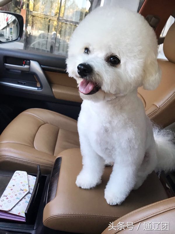 用爱暖通辽！助力通辽人！