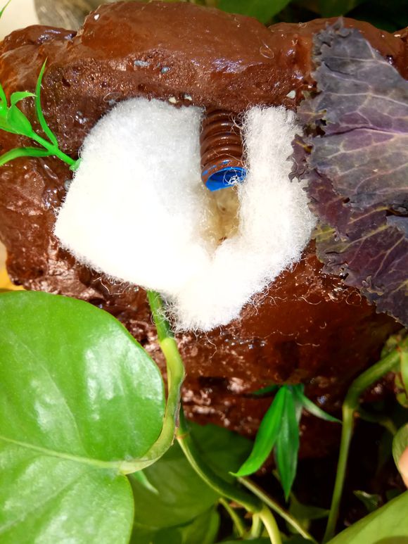 缸小养龟怎么造景,养龟小缸造景图片