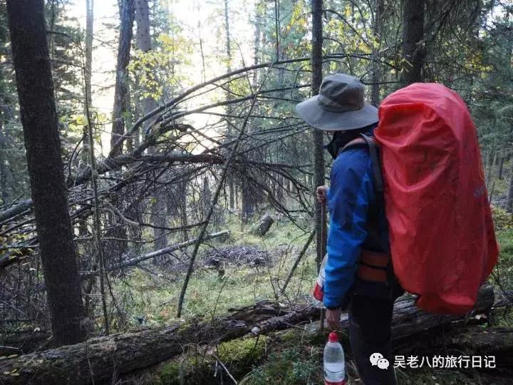 去大西北旅行的感悟,去西北旅行的感悟