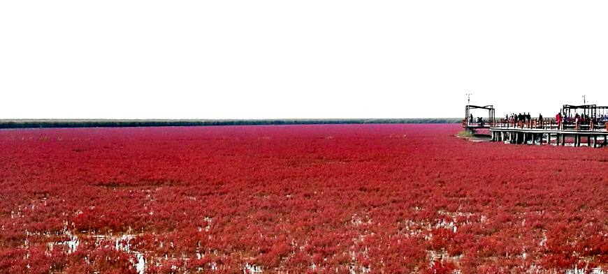 辽宁省交通枢纽城市,辽宁铁路枢纽中心城市