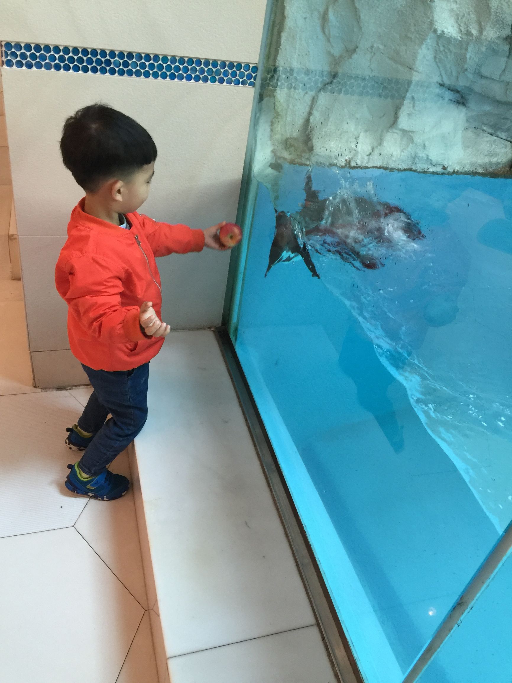 珠海长隆水上乐园亲子游攻略,珠海长隆企鹅酒店攻略亲子游