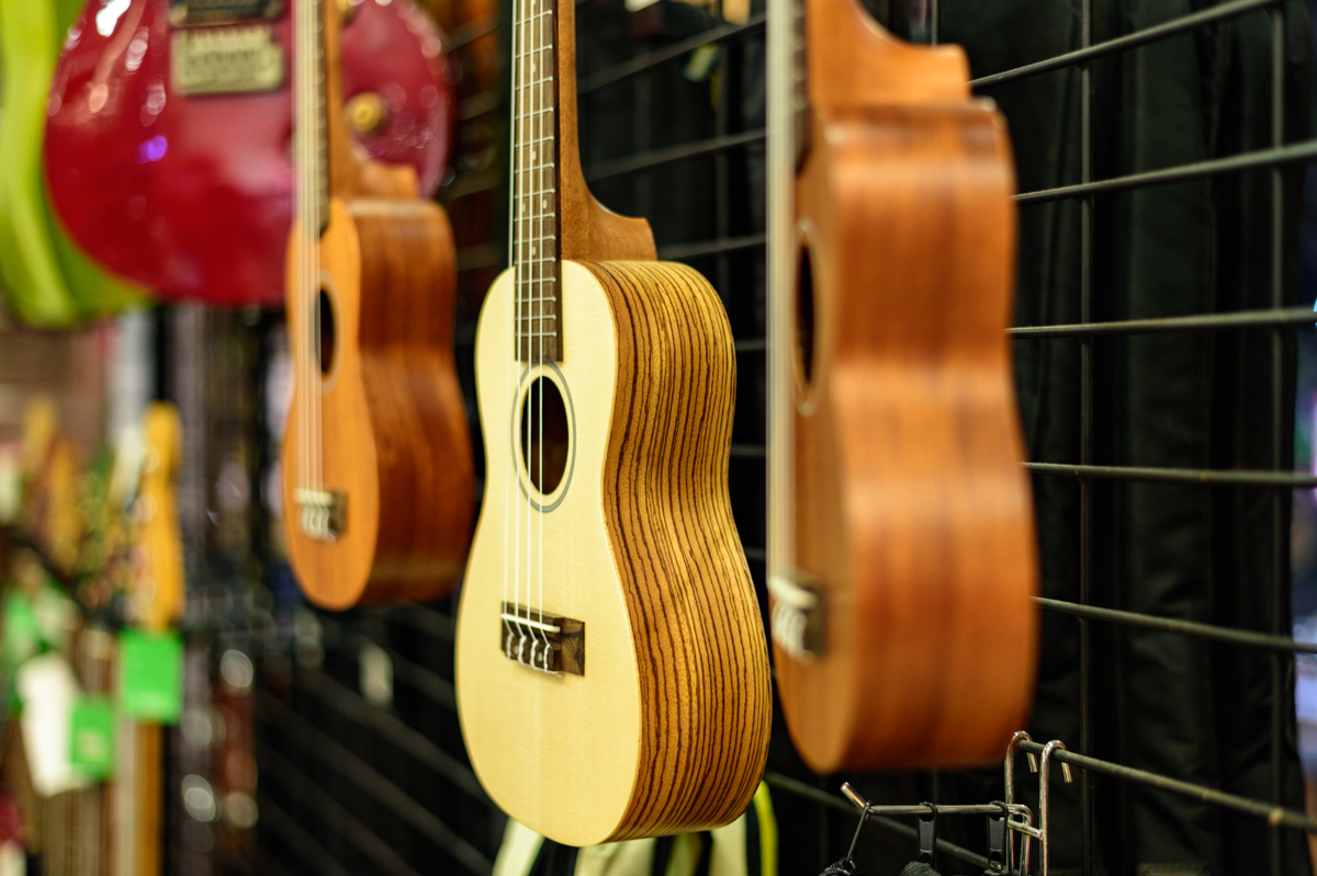 新机尼康新手入门单反推荐,新手入尼康全画幅和半画幅