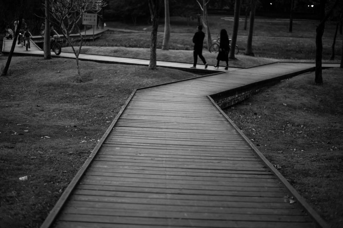 新机尼康新手入门单反推荐,新手入尼康全画幅和半画幅