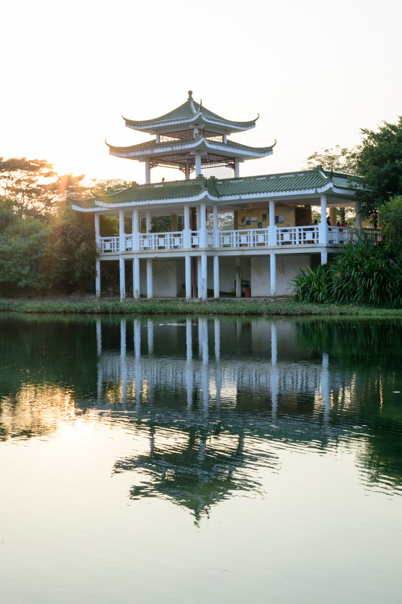 新机尼康新手入门单反推荐,新手入尼康全画幅和半画幅