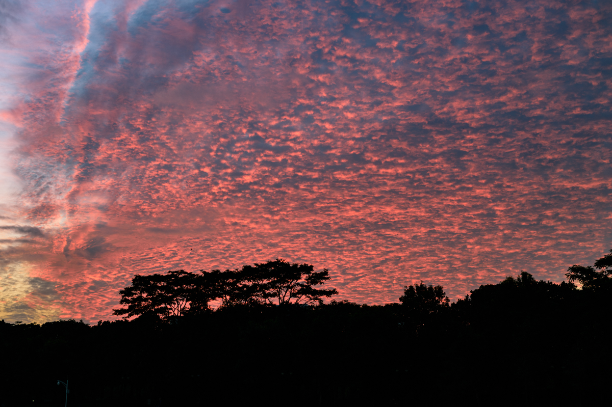 新机尼康新手入门单反推荐,新手入尼康全画幅和半画幅
