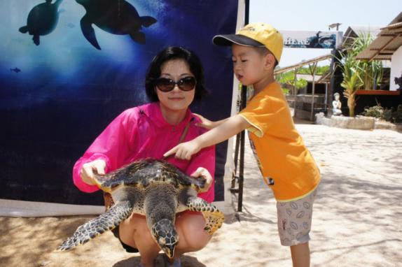 印度尼西亚巴厘岛的豪华度假胜地,巴厘岛海岛自驾游攻略