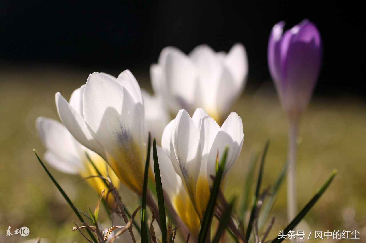 女人心酸心累怎么样安慰,心累了咋安慰