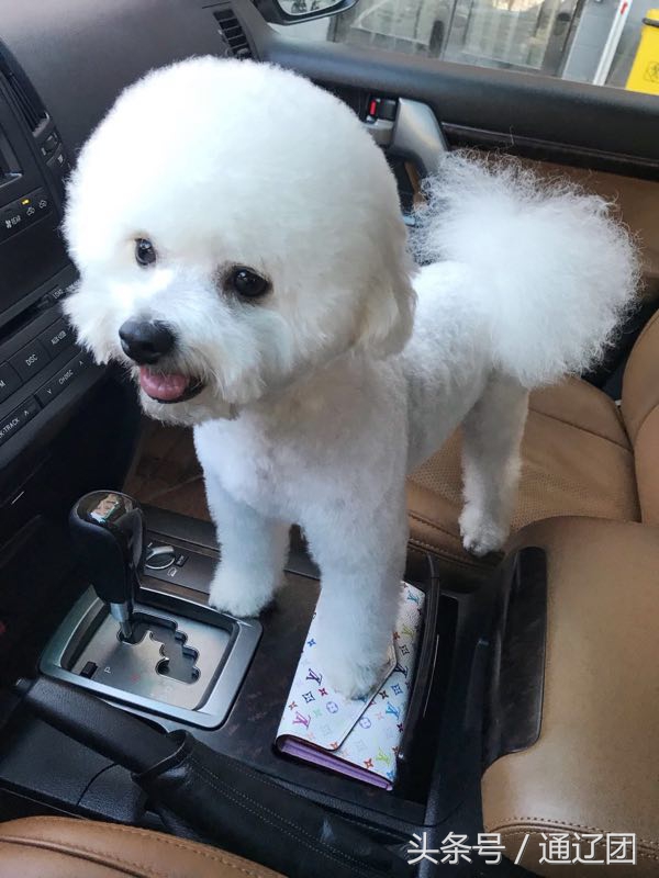 用爱暖通辽！助力通辽人！