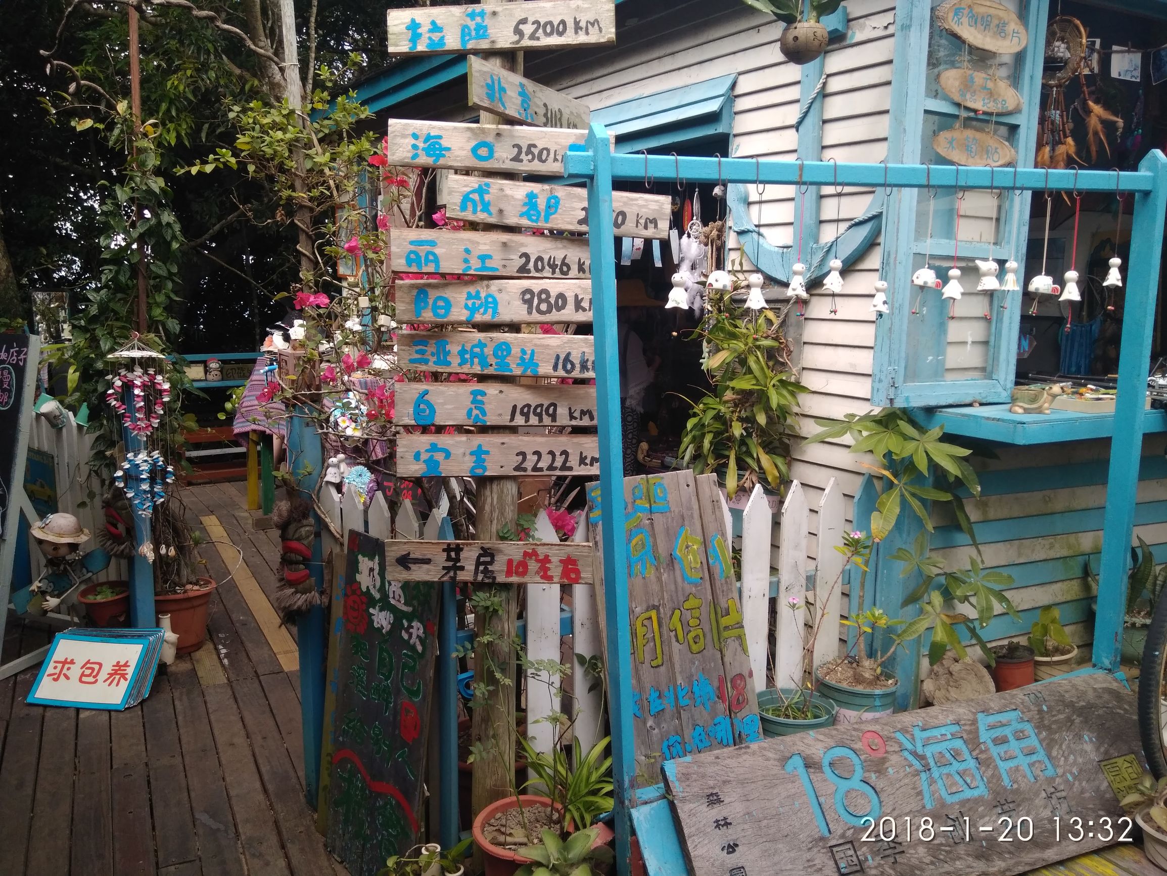 三亚亚龙湾热带天堂森林公园,三亚游玩攻略亚龙湾森林天堂