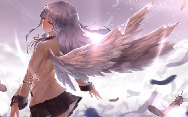 献给最爱二次元的你,最爱二次元