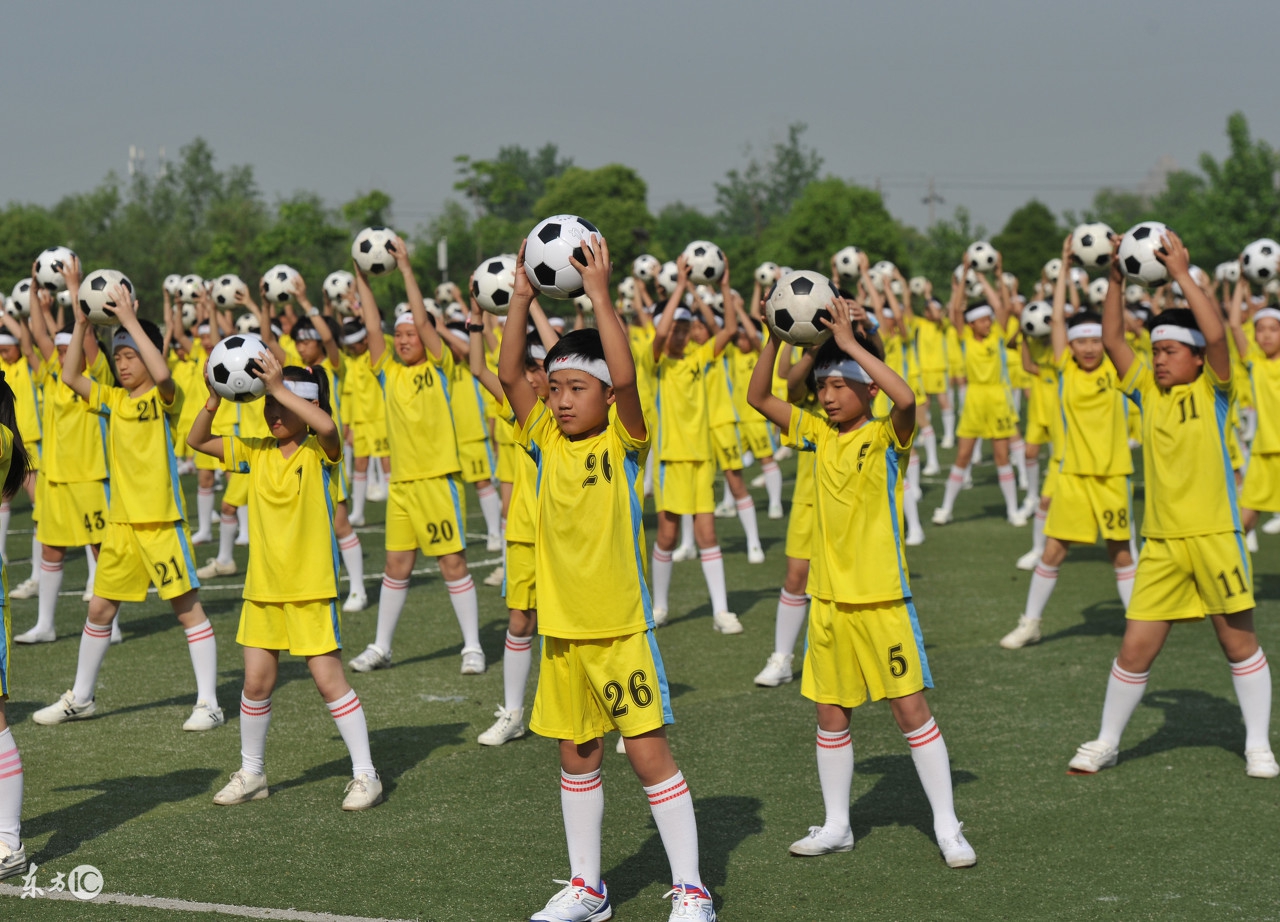 钱宝网骗局从哪一年开始的,钱宝骗局最新消息