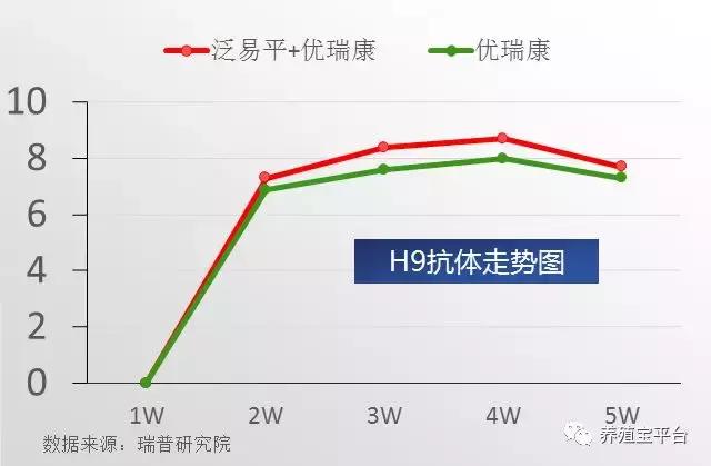 养鸡需要打哪些疫苗,养鸡神药到底是什么