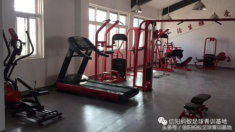 信阳蚂蚁足球俱乐部假日足球赛,信阳蚂蚁足球俱乐部青训班