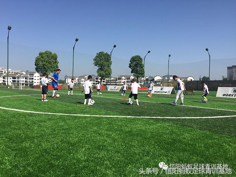 信阳蚂蚁足球俱乐部假日足球赛,信阳蚂蚁足球俱乐部青训班