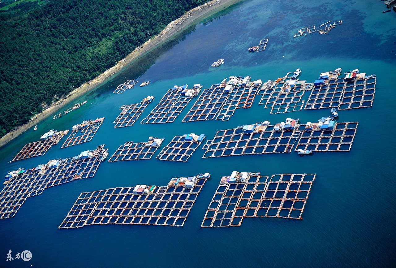 2018年比较有前景的生意项目,专注一个项目便可月入过10000