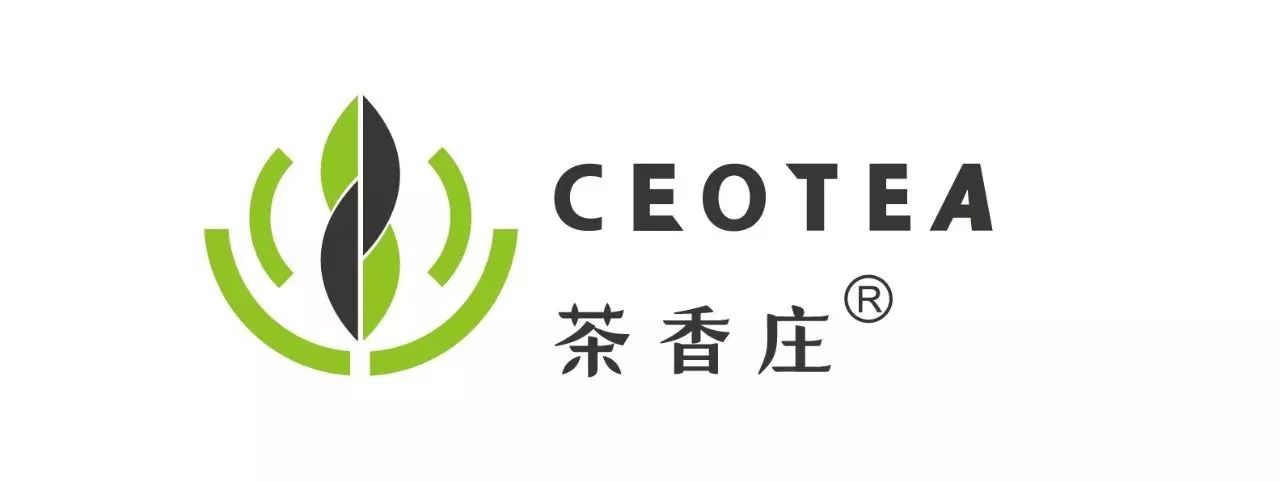 掌握这四种方法泡出来的茶,掌握这几点轻松泡出好喝的茶