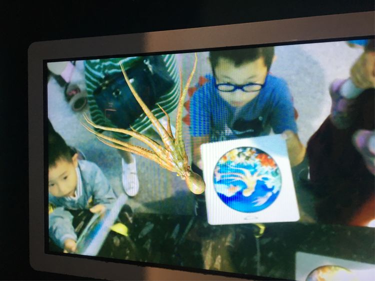 小屁孩的南京之旅,记录小屁孩的旅途