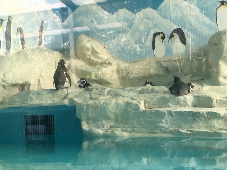 小屁孩的南京之旅,记录小屁孩的旅途