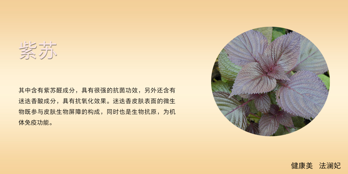 面膜中的劳斯莱斯——法澜妃白藜芦醇黄金面膜重磅上市