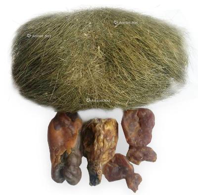 猪宝是怎么来的,猪宝狗宝怎么形成的