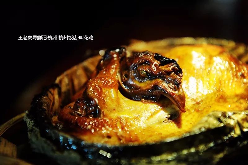 郭靖黄蓉杨过之间的感情,郭靖和黄蓉纯真的爱情