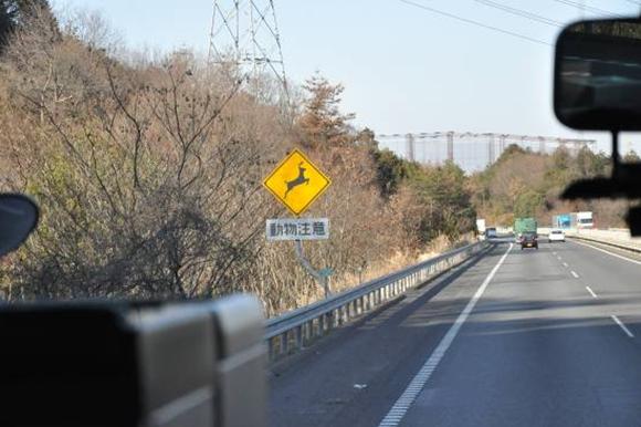 旅行中的路况,日本自由行交通解读