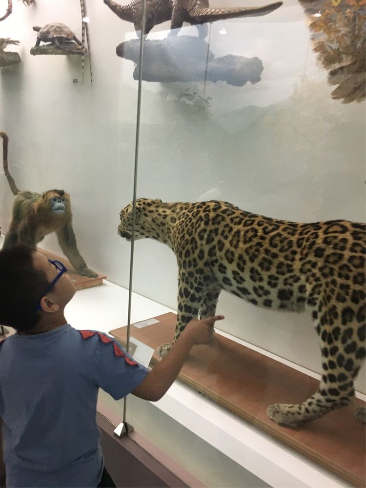 小屁孩的南京之旅,记录小屁孩的旅途