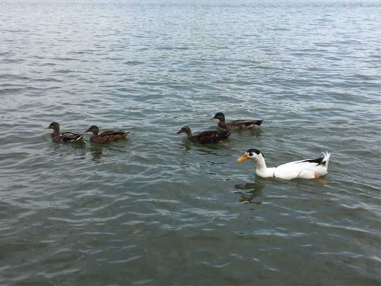 小屁孩的南京之旅,记录小屁孩的旅途