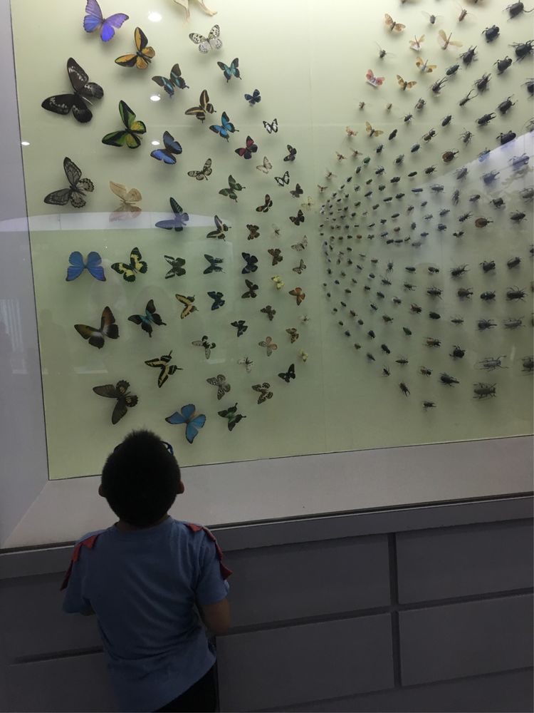 小屁孩的南京之旅,记录小屁孩的旅途