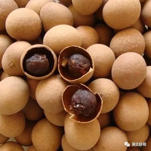 仅仅一字之差,60岁阿姨就吃中了毒……很多人都搞混了